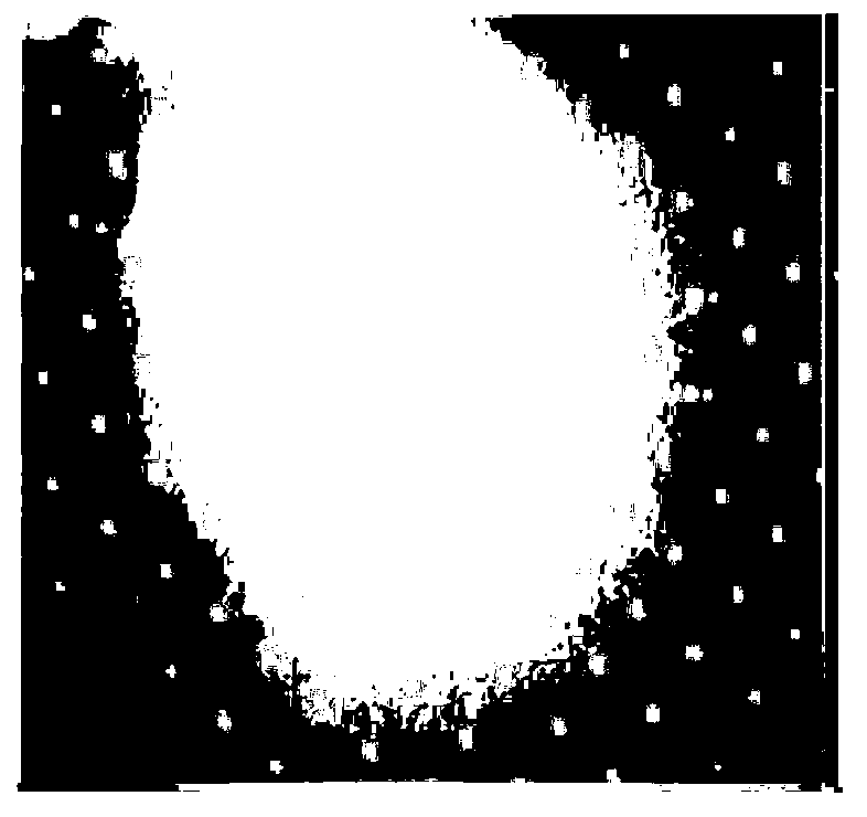 Pedestrian counting method based on multiple features