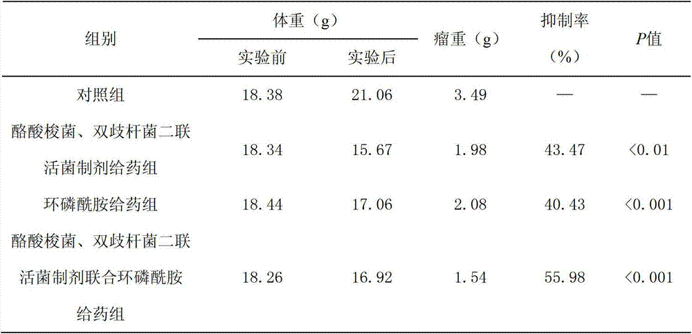 Application of composition of clostridium butyricum and bifidobacterium dual live bacteria preparation and anticancer medicament in preparation of medicament for treating intestinal cancer