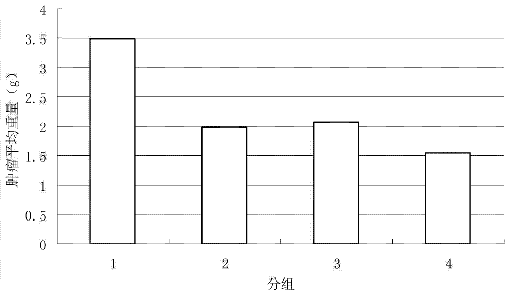 Application of composition of clostridium butyricum and bifidobacterium dual live bacteria preparation and anticancer medicament in preparation of medicament for treating intestinal cancer