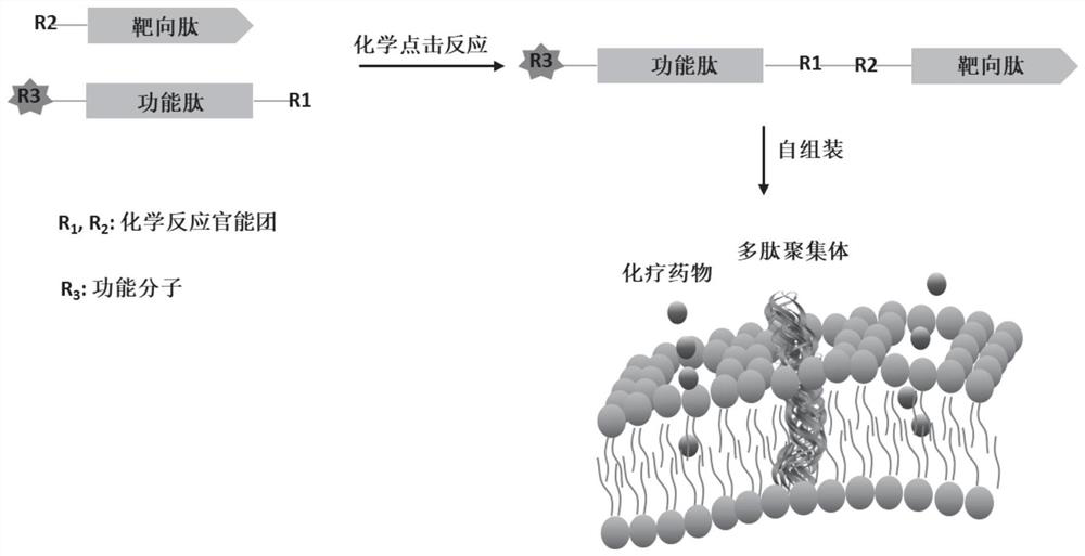 Chemotherapy-sensitizing polypeptide aggregate and its preparation method and application