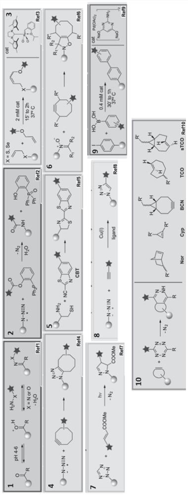 Chemotherapy-sensitizing polypeptide aggregate and its preparation method and application