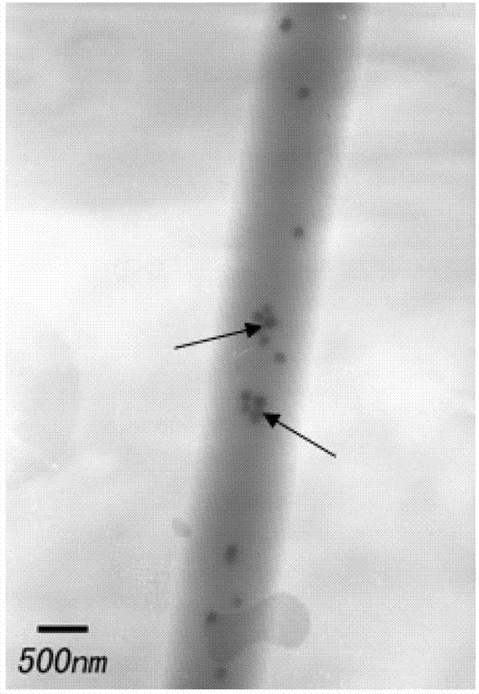 Method for preparing natural material inorganic nanoparticle composite nano-fiber through electrostatic spinning