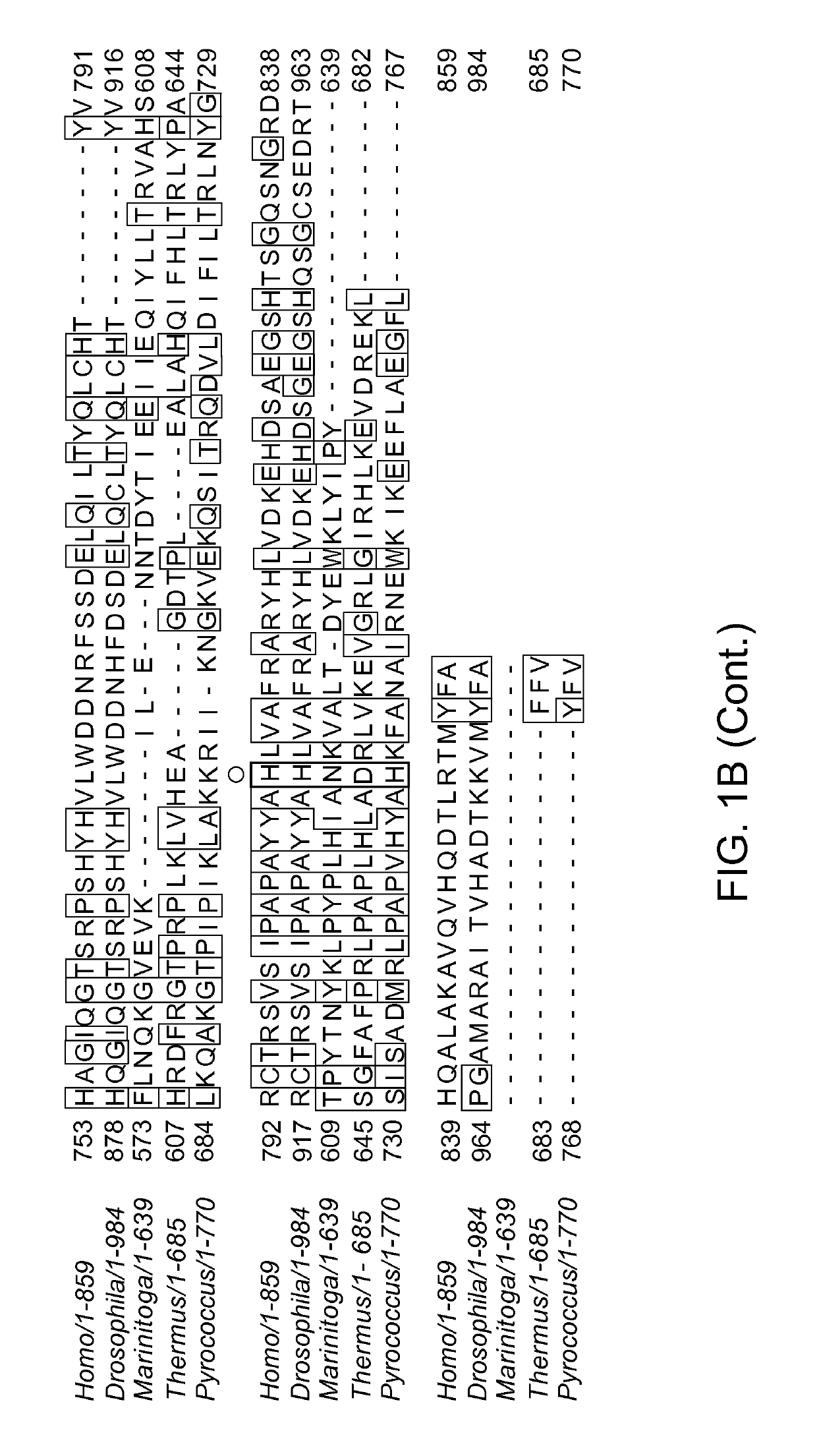 Methods and compositions for using argonaute to modify a single stranded target nucleic acid