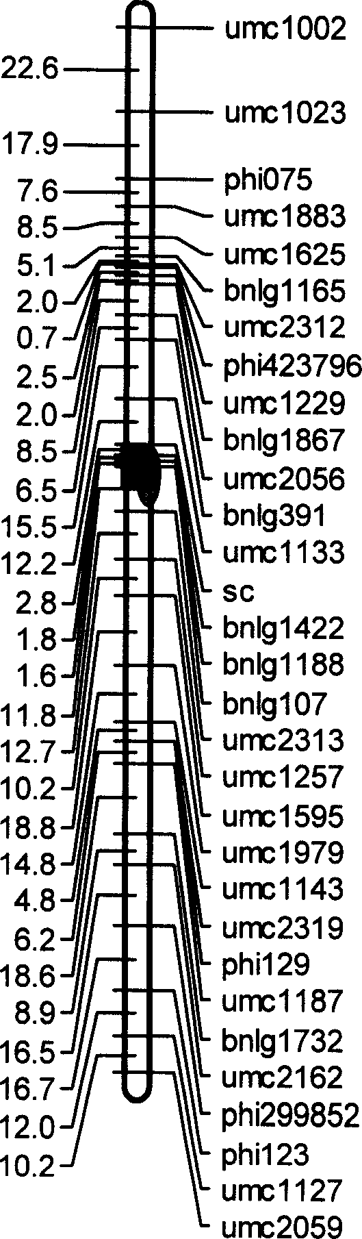 Method for auxiliary screening of high-oil corn and dedicated quantitative character gene locus therefor