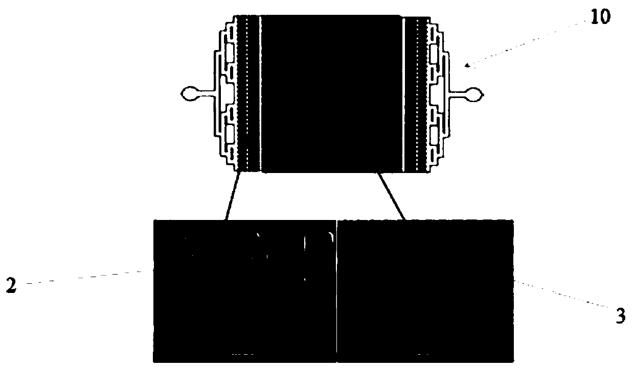 Microfluidic chip integrating circulating tumor cell capture, lysis and nucleic acid detection, and device and method of microfluidic chip