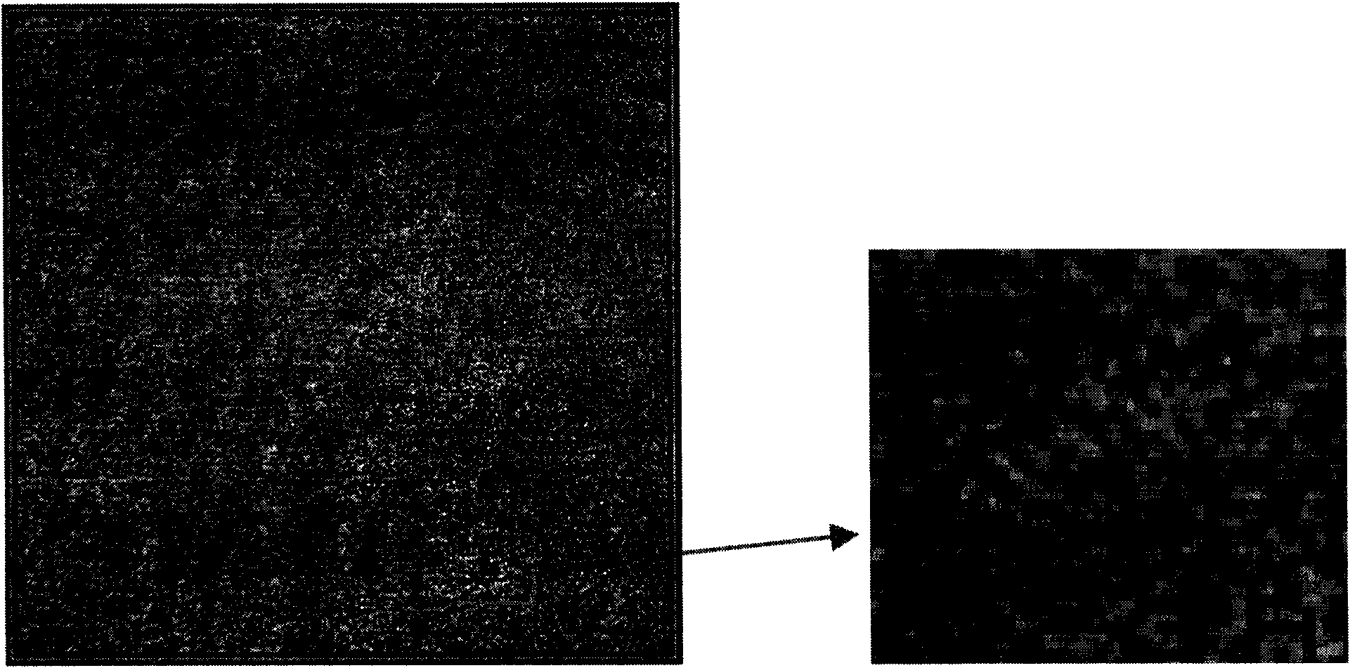 Method for preparing photopolymer holographic storage optical disk