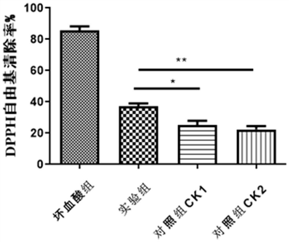 Harvesting method for improving quality and yield of Dendrobium officinale Kimura et Migo