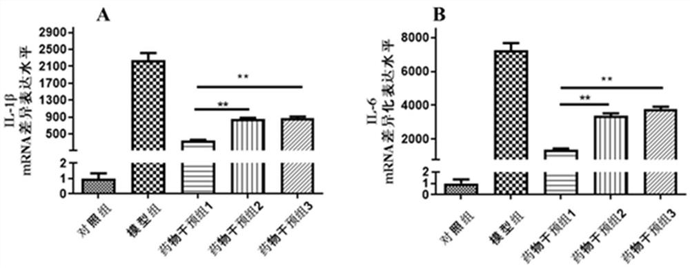 Harvesting method for improving quality and yield of Dendrobium officinale Kimura et Migo