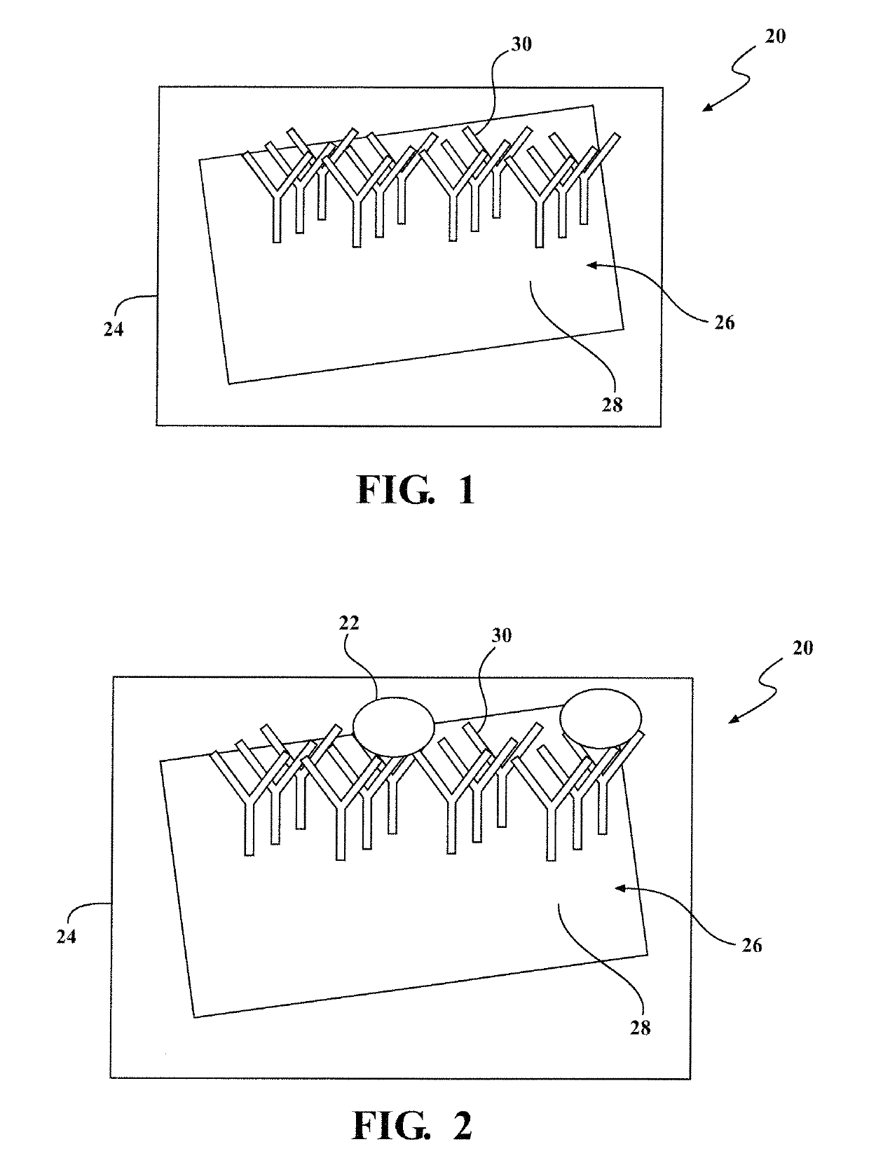 System for detecting rare cells