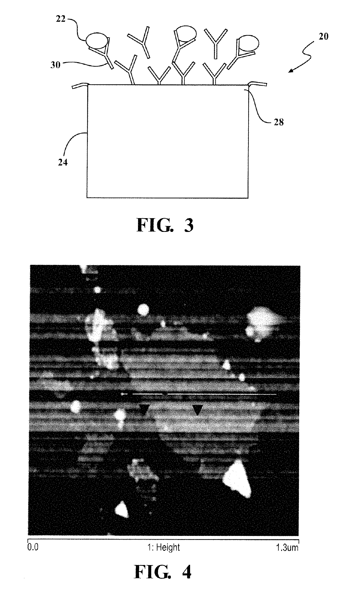 System for detecting rare cells