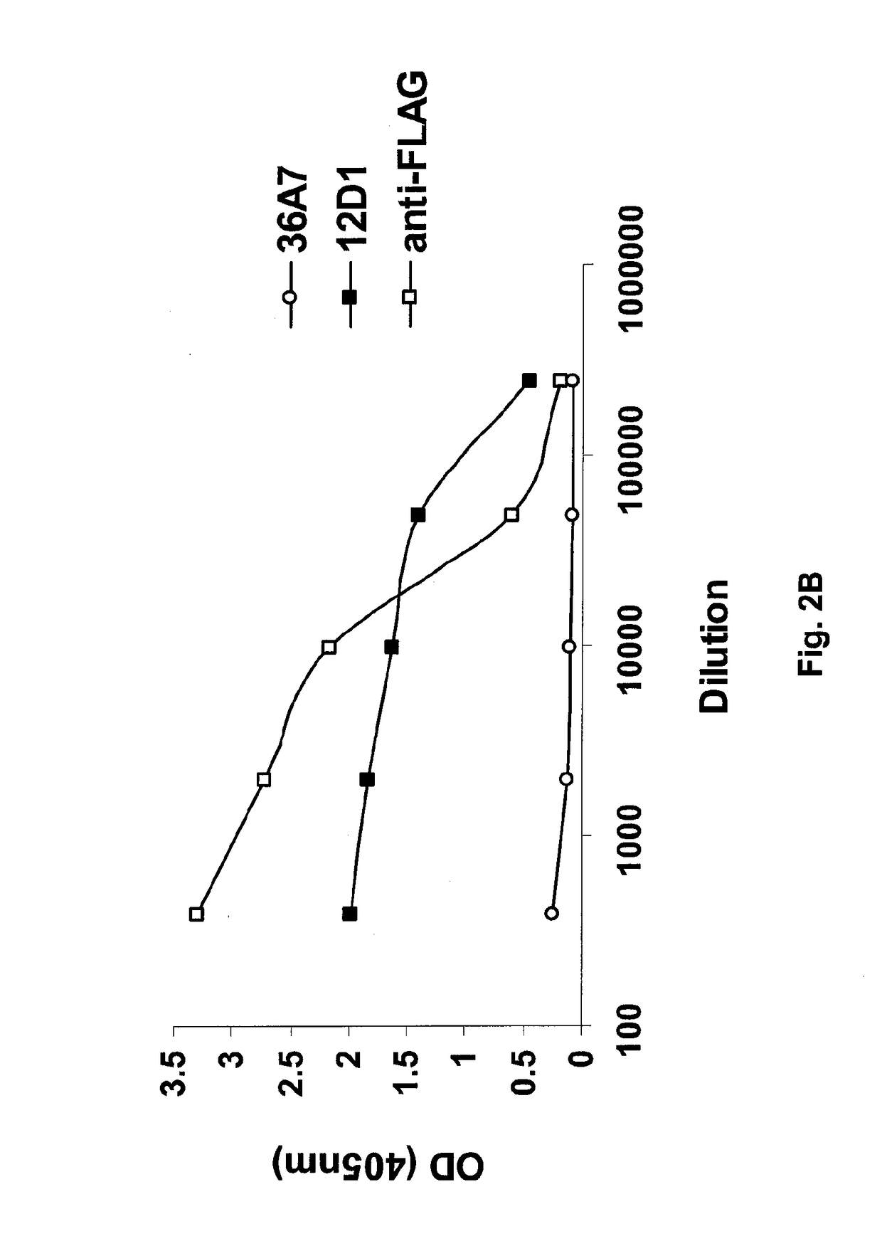 Vaccines for use in the prophylaxis and treatment of influenza virus disease