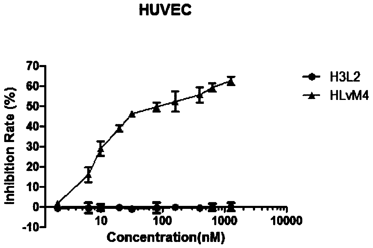 Conjugate of anti-human DLL4 humanized antibody and dolastatin derivative MMAE as well as preparation method and application of conjugate