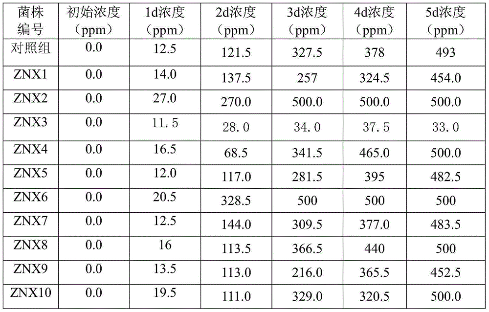 Bacillus subtilis and biological deodorant containing bacterial strain of bacillus subtilis