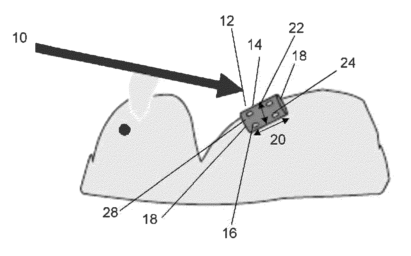 Apparatus and Process for Generating and Harvesting Adult Stem Cells and Fluid Associated with it from Skin and Omentum for Medical, Cosmetic, and Veterinary Use