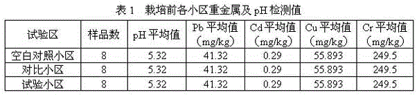 Composite soil conditioner