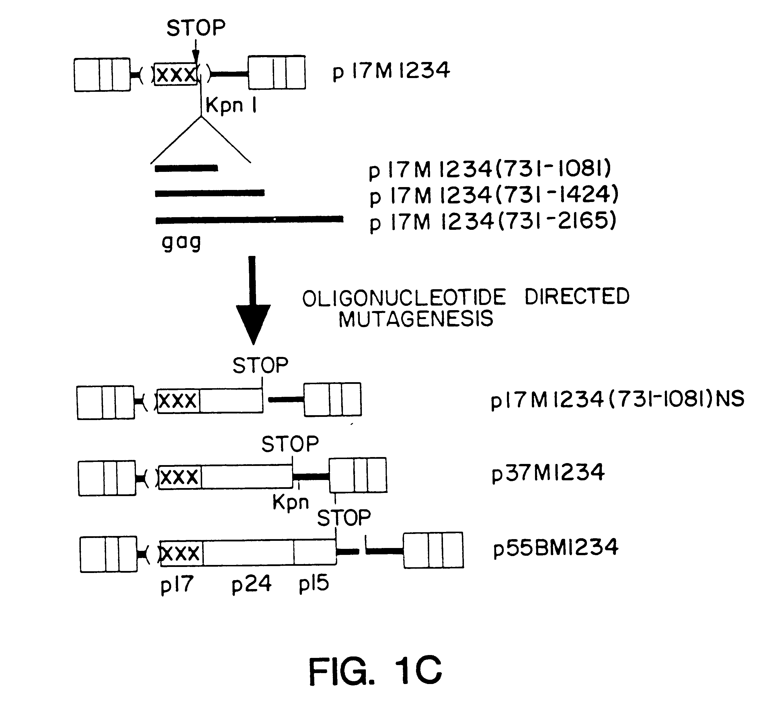 Method of eliminating inhibitory/instability regions from mRNA