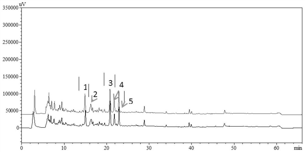 A kind of manufacturing process of bergamot flavone chewable tablet