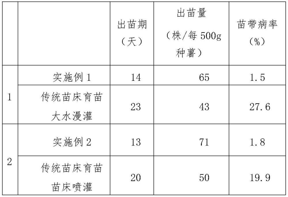 Sweet potato high-ridge drip irrigation strong seedling cultivation method