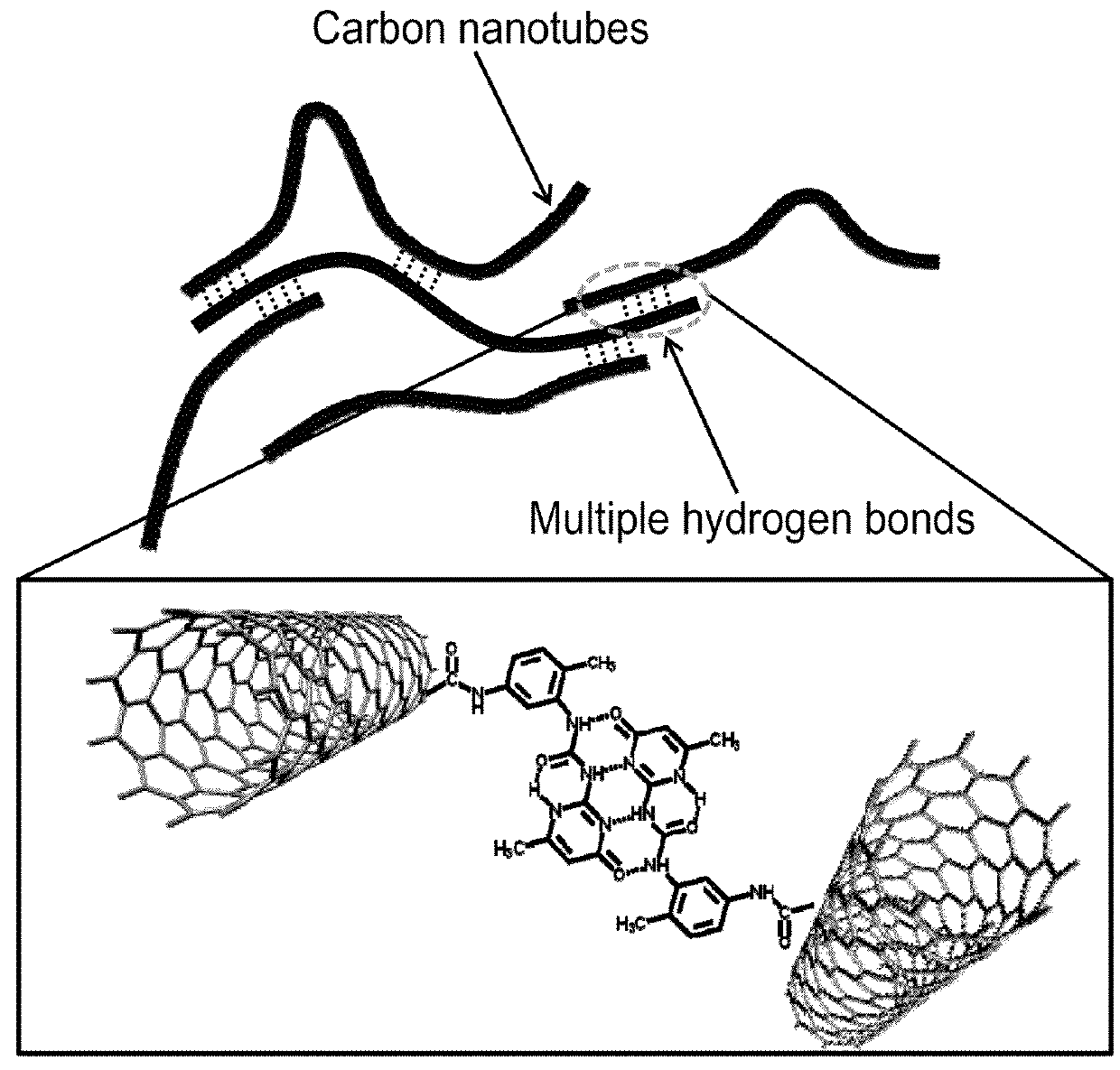 Carbon nanomaterial having higher order structure by means of multiple hydrogen bonds and method for preparing same