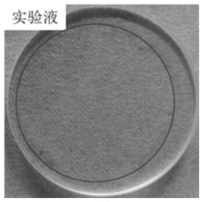 A kind of fully synthetic water-based sapphire cutting fluid and preparation method thereof