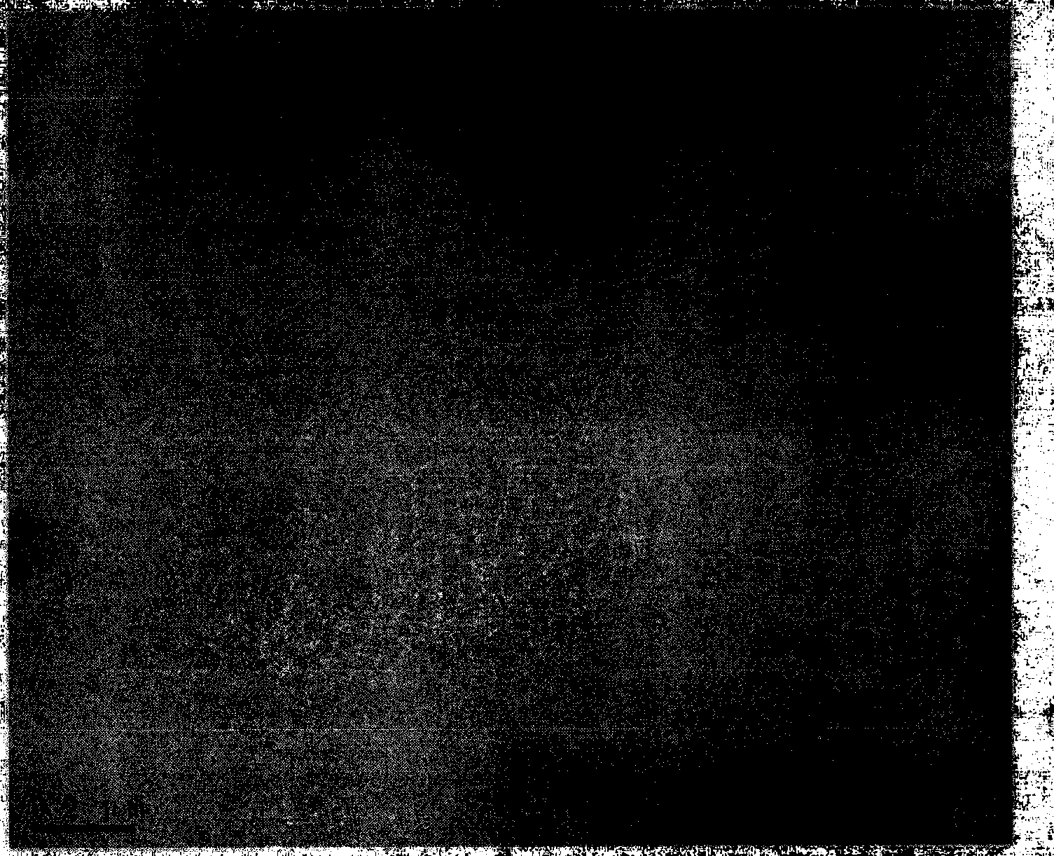 Method for preparing monolayer self-assembling structure of nanorods