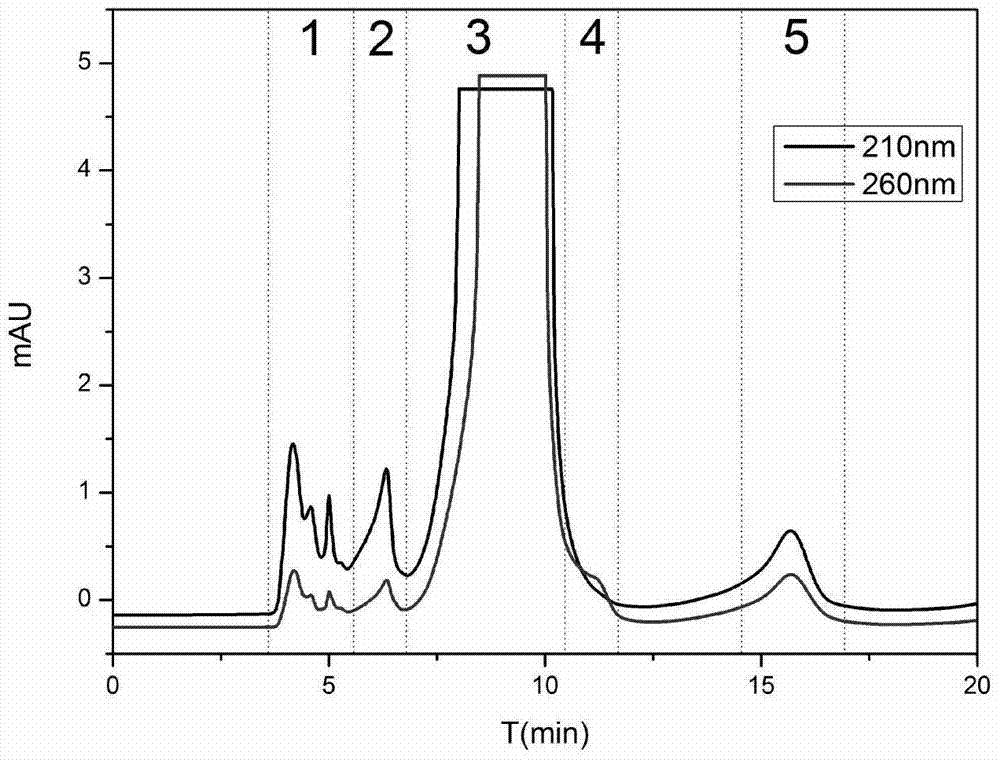 Method for extracting 6-hydroxy kaempferol monomer compound from marigold