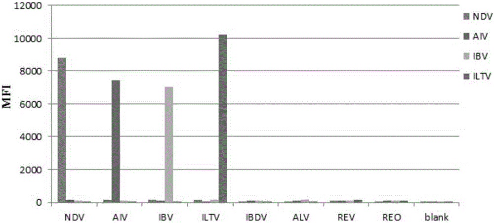 Multiplex fluorescence immunoassay primer, kit and method for rapidly distinguishing four respiratory pathogens