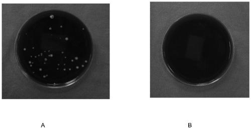 A kind of ultra-low temperature freezing and closed storage method