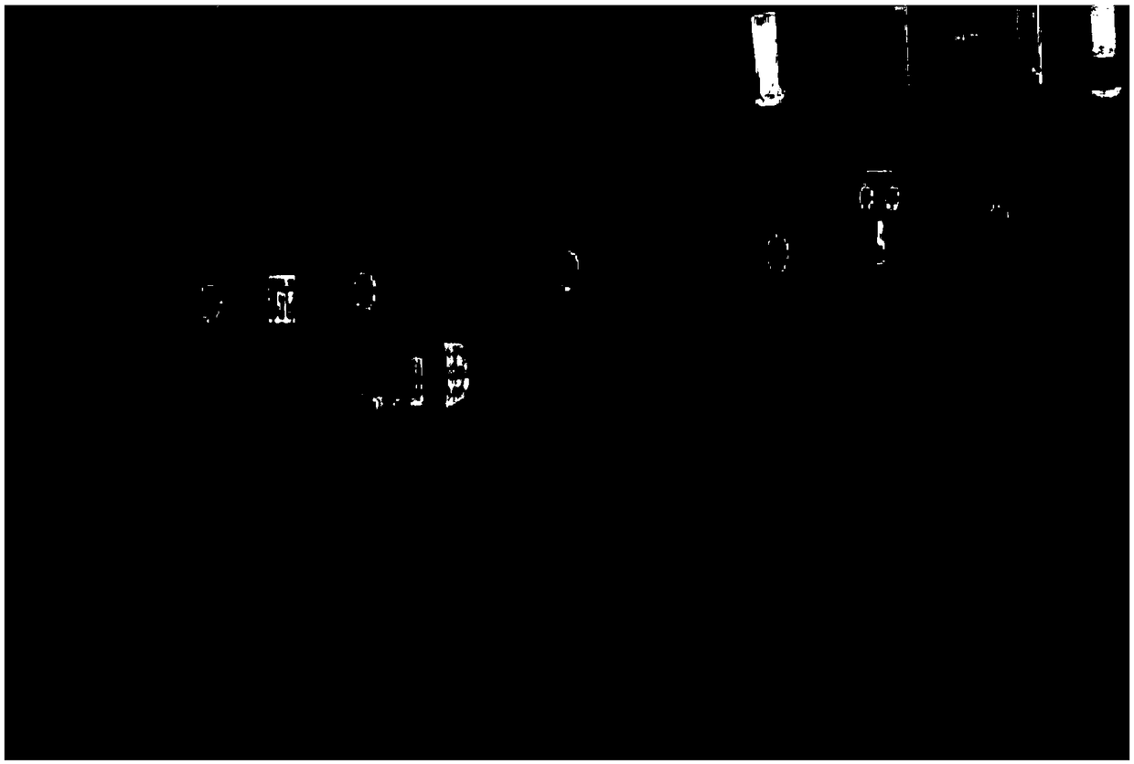 Method of carrying out urban municipal general survey on basis of unmanned-aerial-vehicle low-altitude aerial-photography system