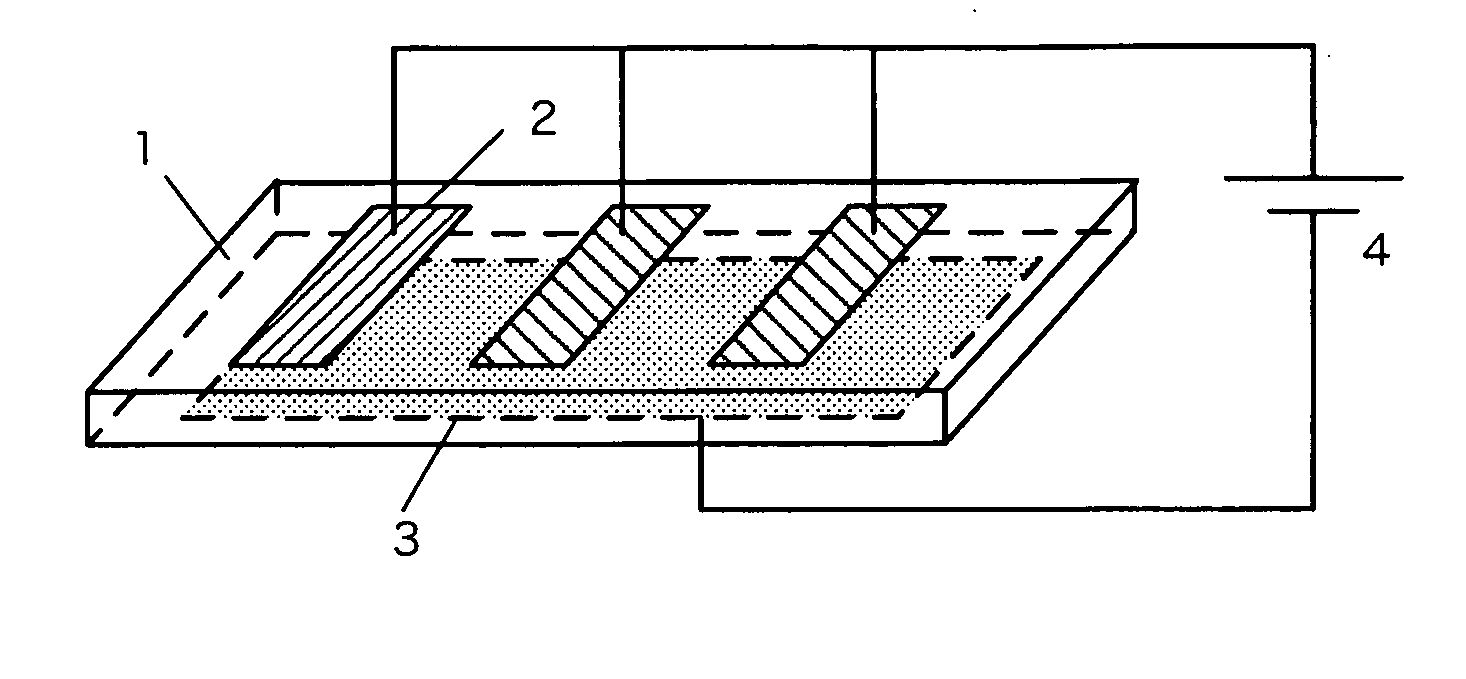 Method for forming polarization reversal