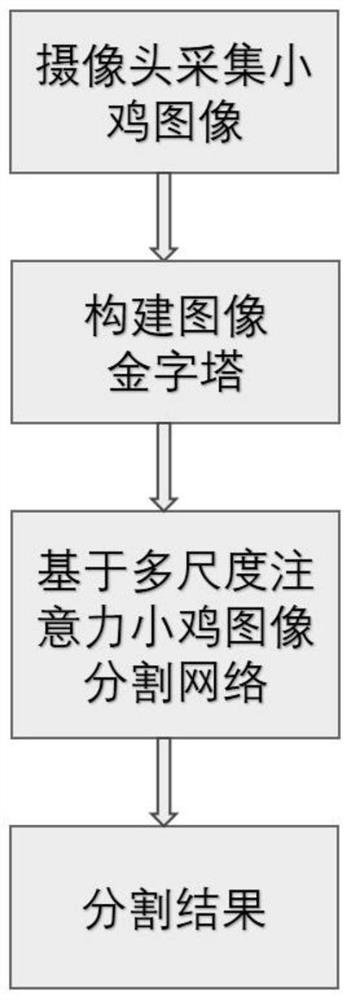 Chicken image segmentation method and system based on multi-scale attention network