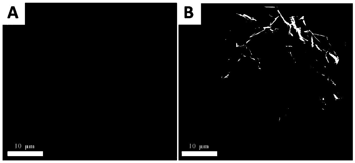 Method for preparing graphene coated protective metal lithium microspheres