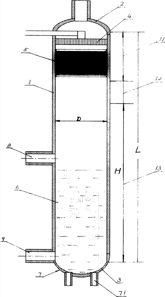 Vertical type bubbling oxidation reaction device for synthesizing naphthalic acid