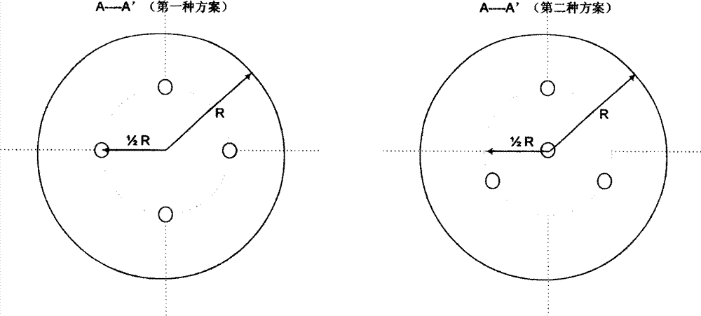 Vertical type bubbling oxidation reaction device for synthesizing naphthalic acid