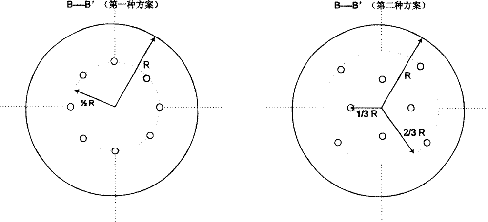 Vertical type bubbling oxidation reaction device for synthesizing naphthalic acid