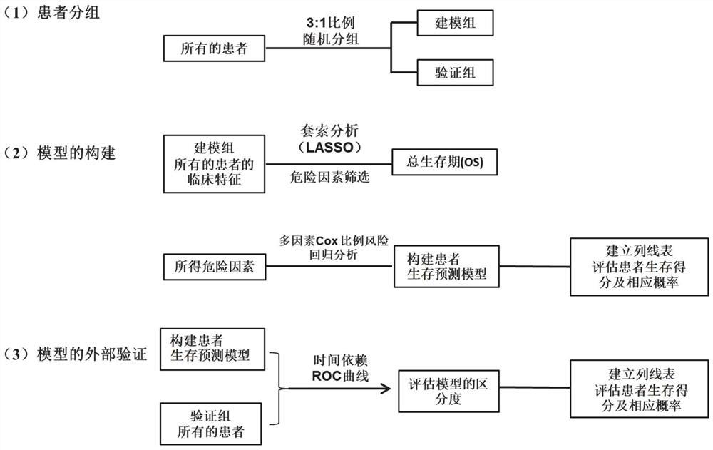 Cervical cancer postoperative survival prediction method, system and device and medium