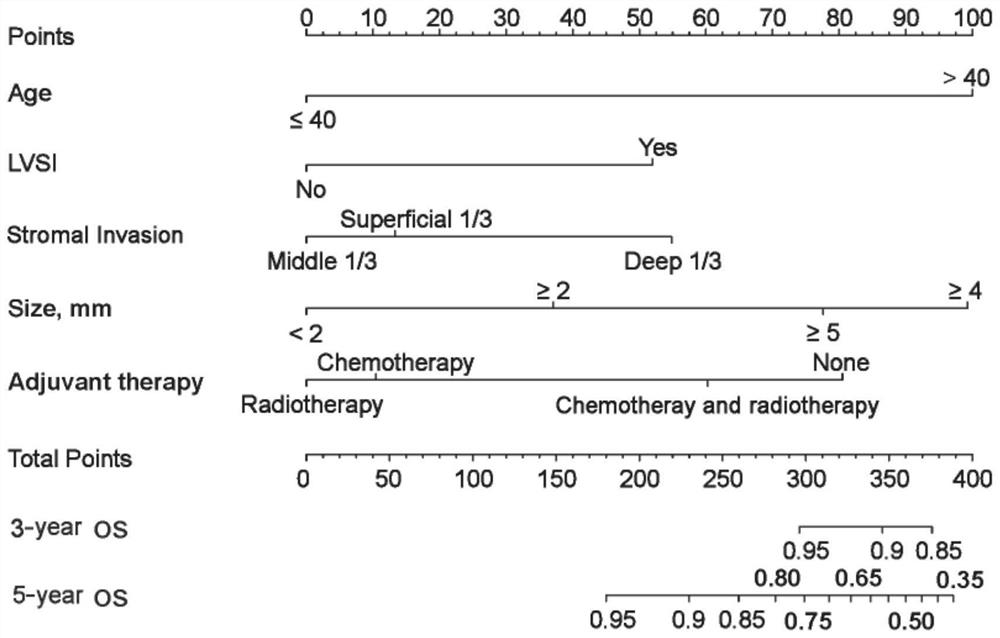 Cervical cancer postoperative survival prediction method, system and device and medium