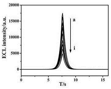 Method for preparing electrochemiluminescence immunosensor for alpha fetoprotein based on Au-g-C3N4 nanocomposite and application