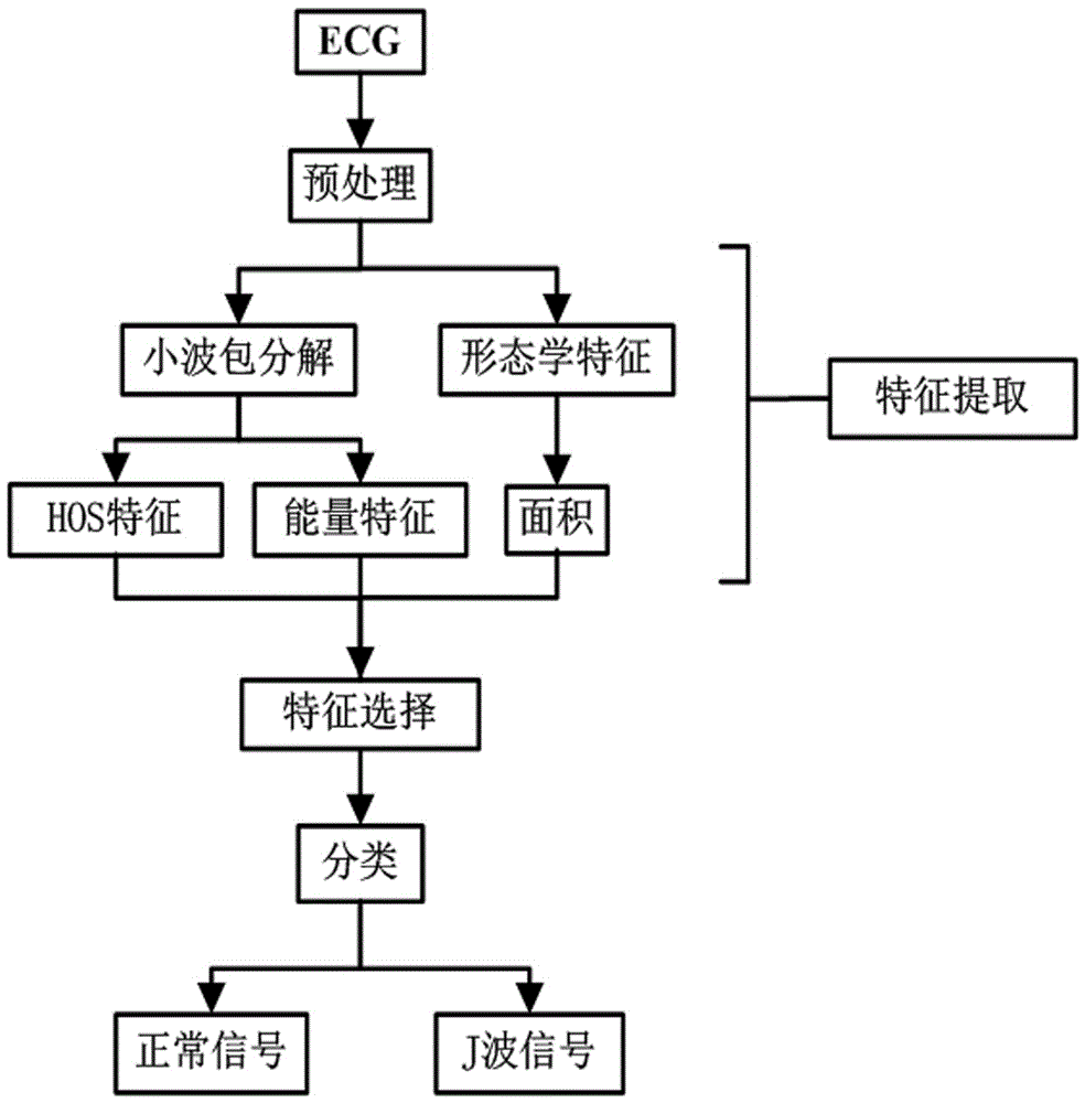 J wave detection and classification method based on correlation analysis characteristic selection