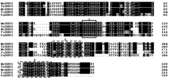 Dehydrin Gene of Lentil Bean and Its Application