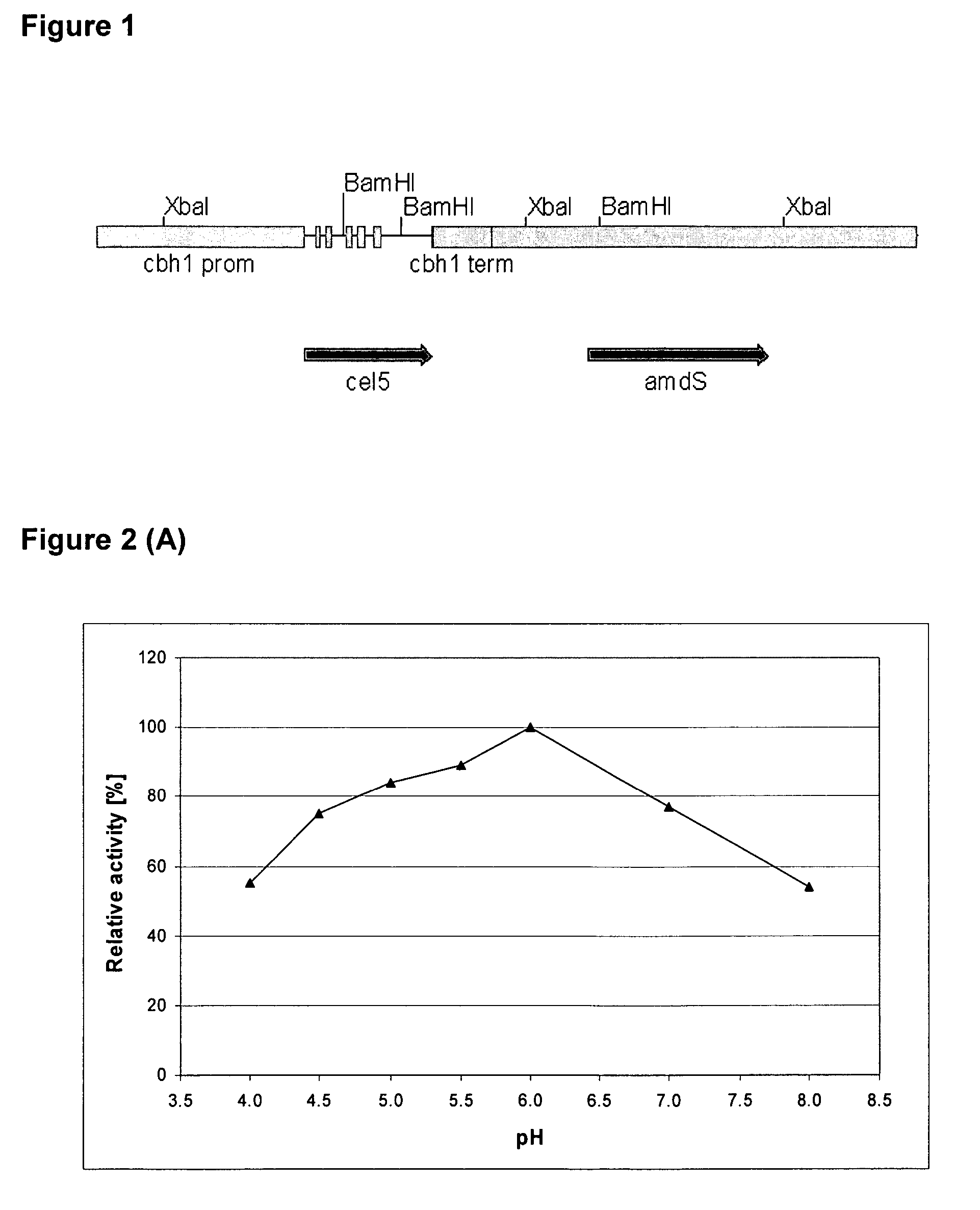 Enzyme fusion proteins and their use