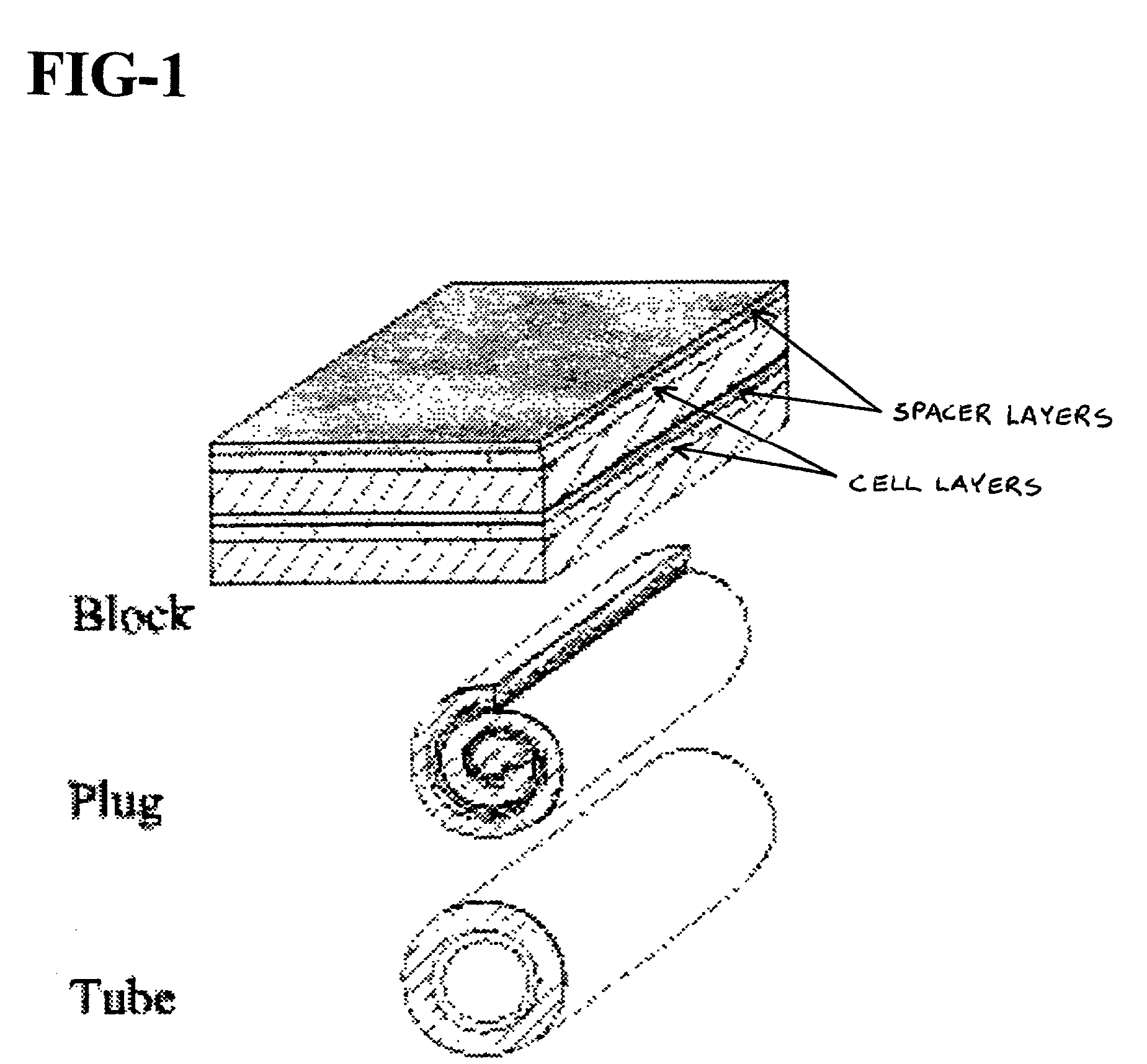 Cell storage and delivery system