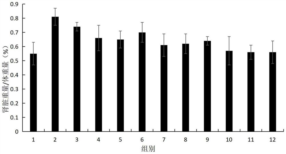 Traditional Chinese medicine composition for relieving liver and kidney injury