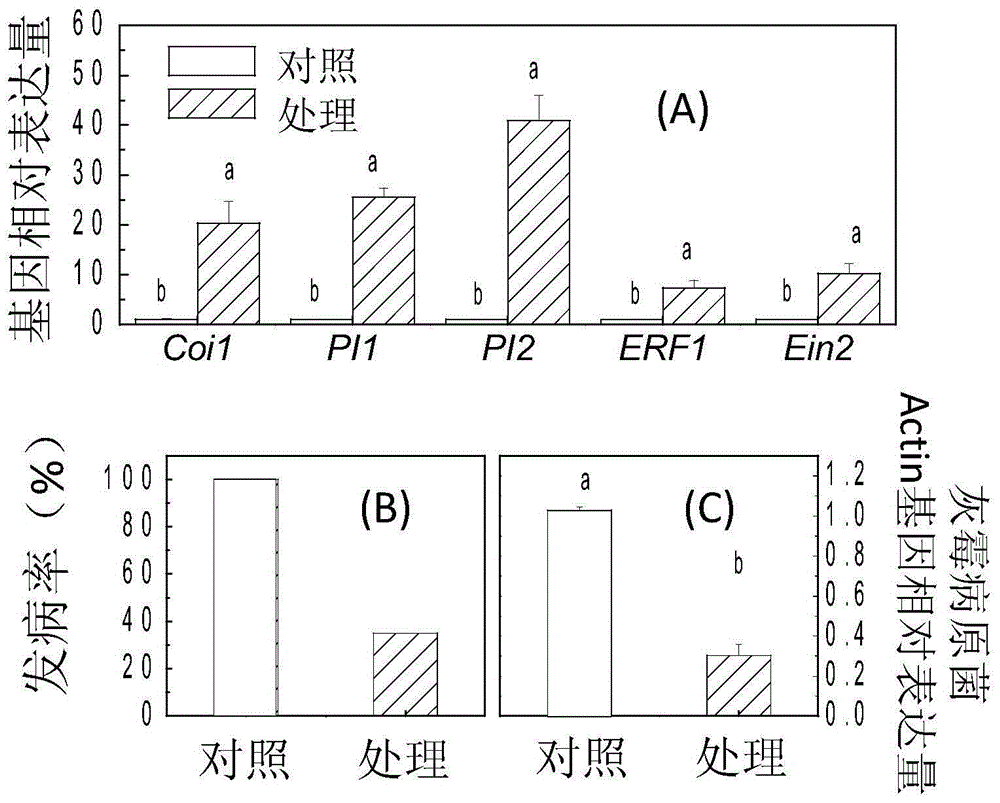 Application of docosapentaenoic acid ethanolamine in improving plant resistance to Botrytis cinerea