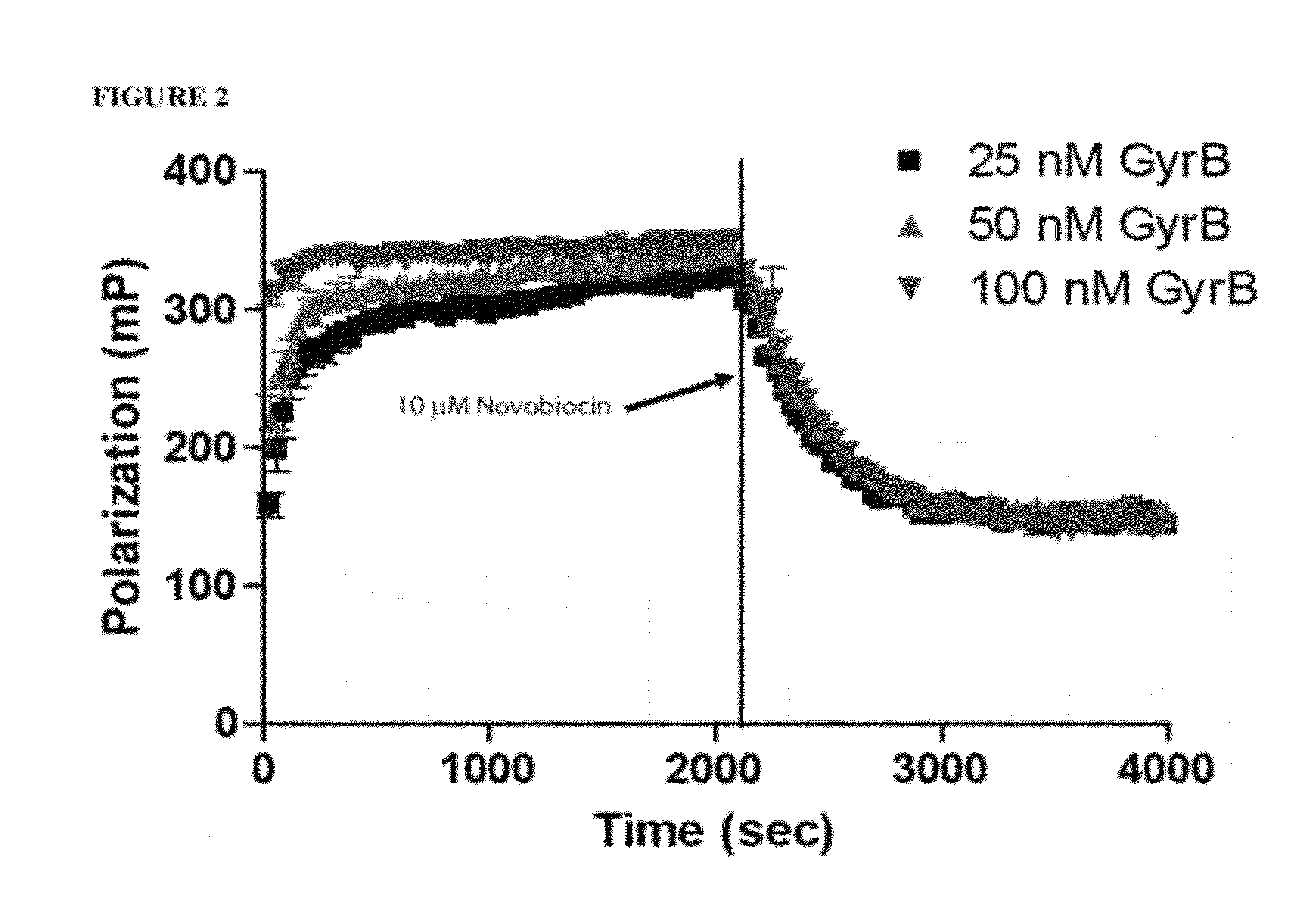 Topoisomerase binding probe and method of use