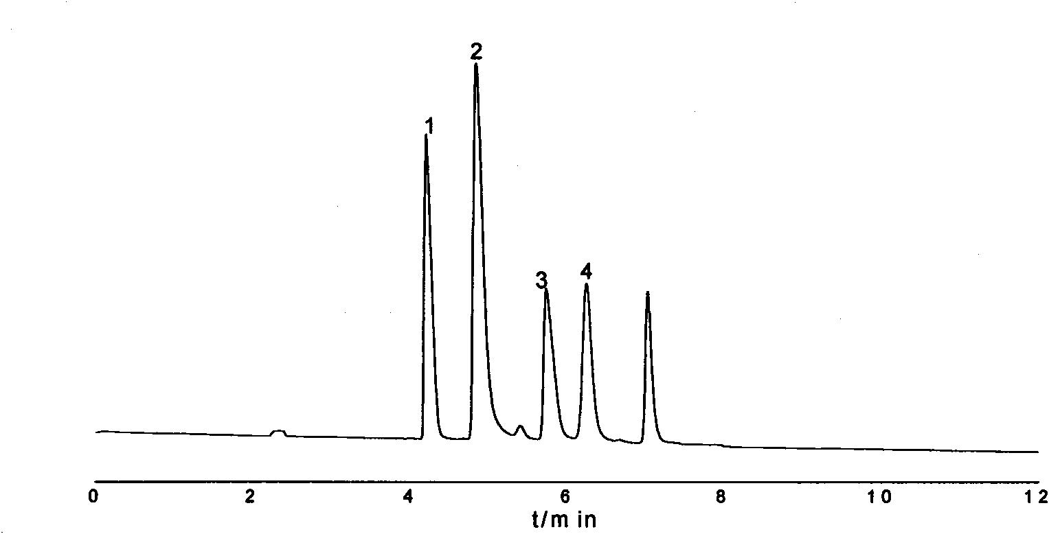 Preparation method of dynamic magnet-coated nano-sized solid-phase open-tubular capillary electric chromatography column