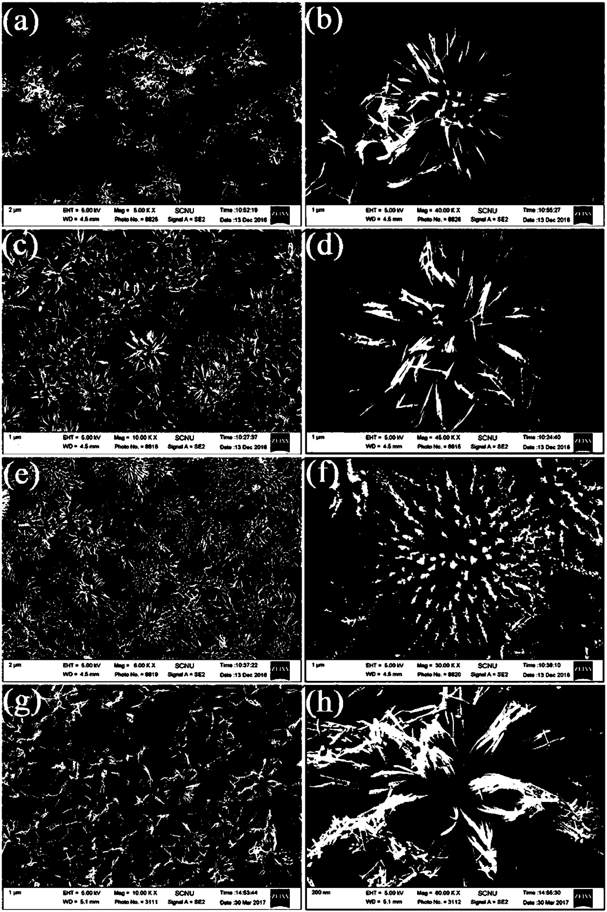 Preparation method of sea-urchin-shaped cobalt acid copper nanometer material of nickel foam load