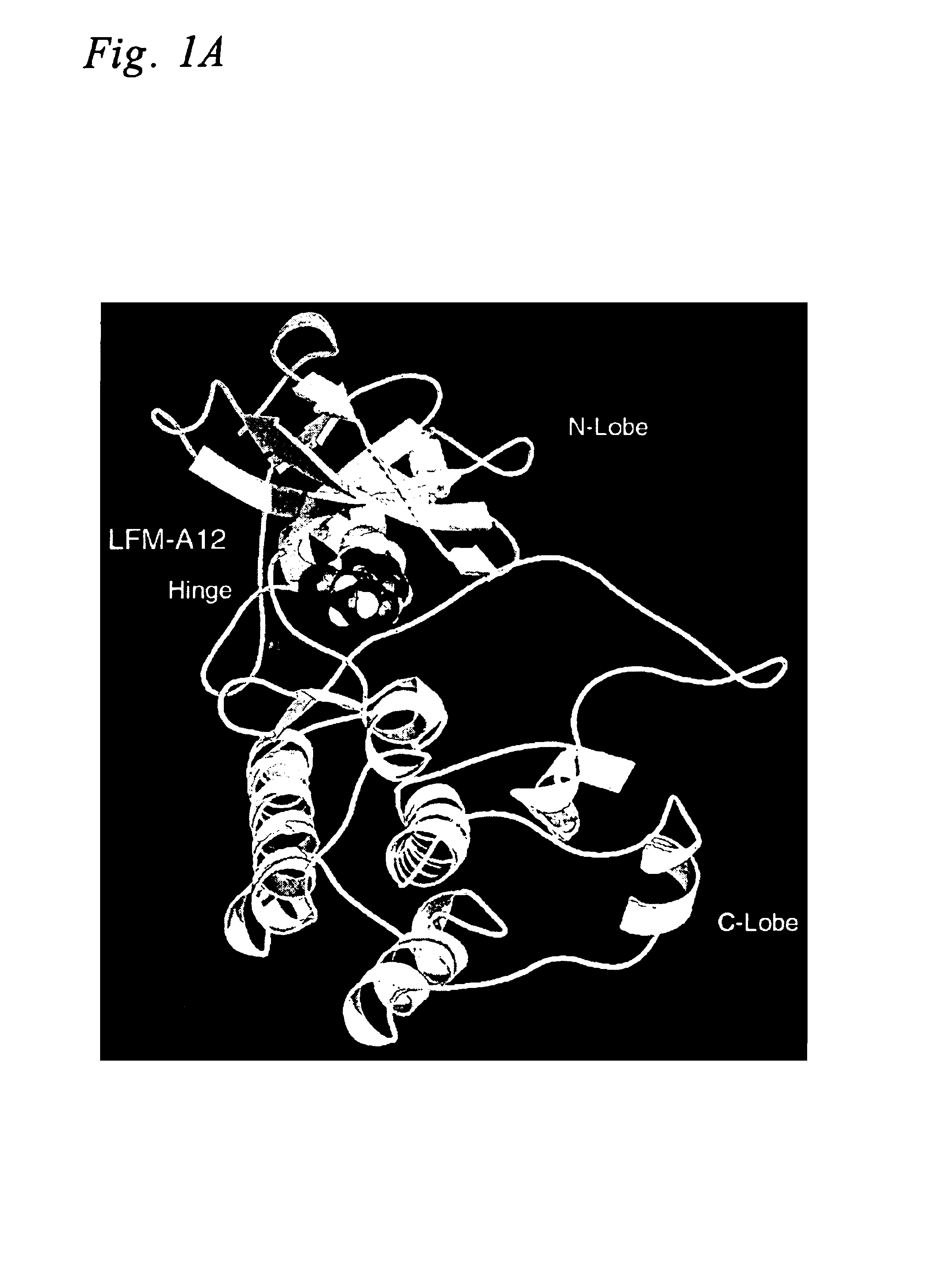 Inhibitors of the EGF-receptor tyrosine kinase and methods for their use