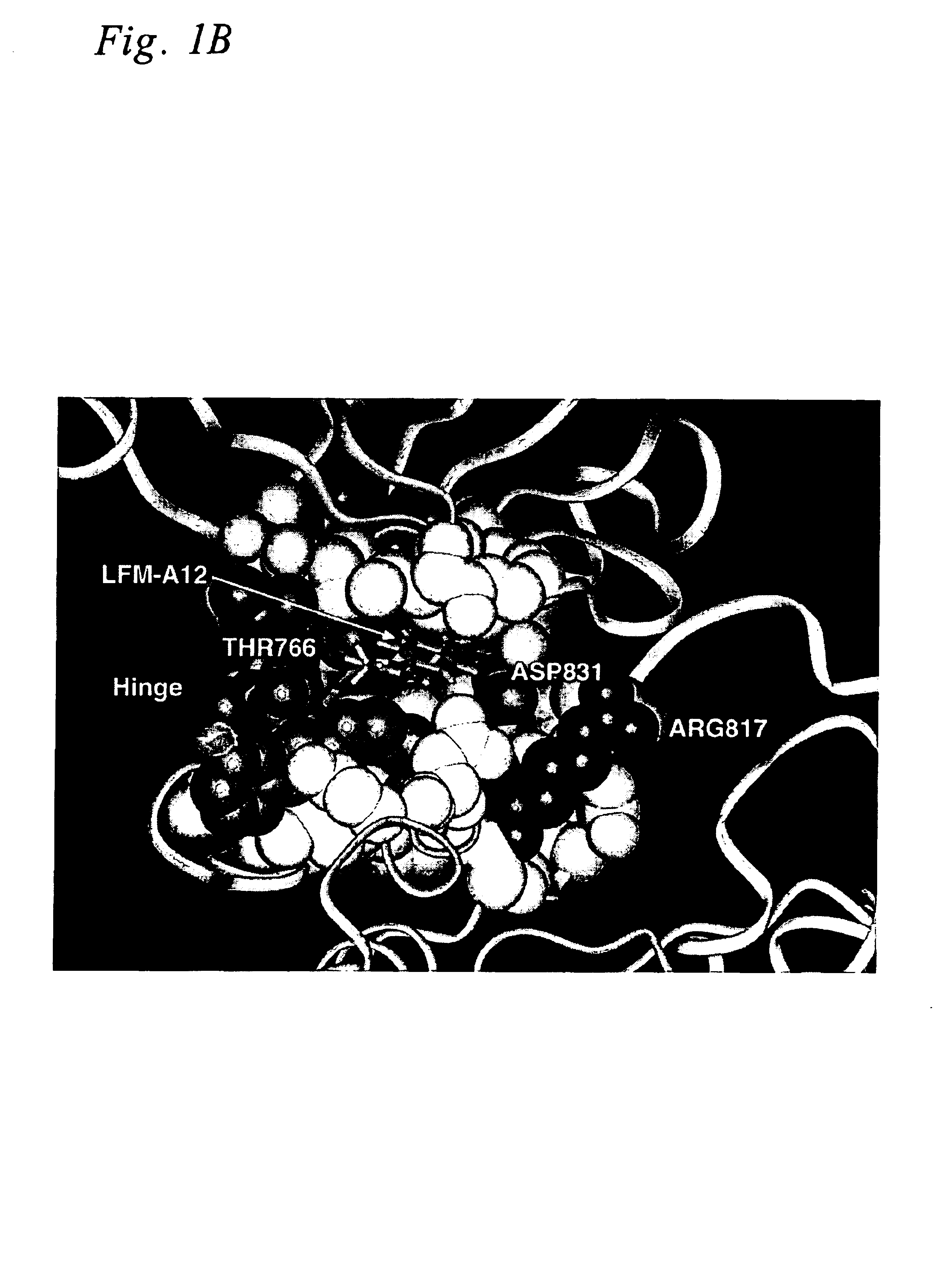 Inhibitors of the EGF-receptor tyrosine kinase and methods for their use