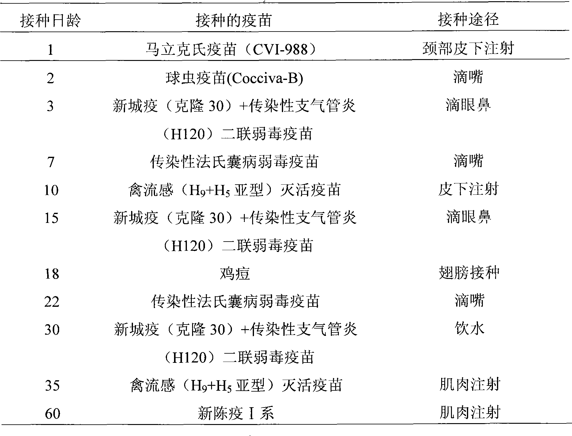 Traditional Chinese medicine preparation for improving chicken immunity and antioxidant ability